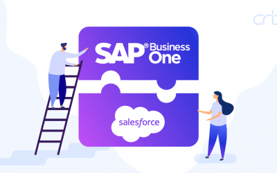 SAP Business One - Salesforce integratie